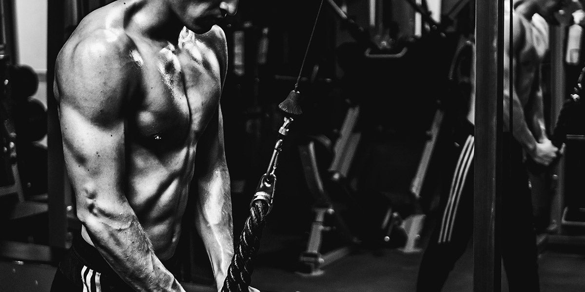 6 Day Gym Workout Schedule for Beginners: Get Fit with a Proven Plan