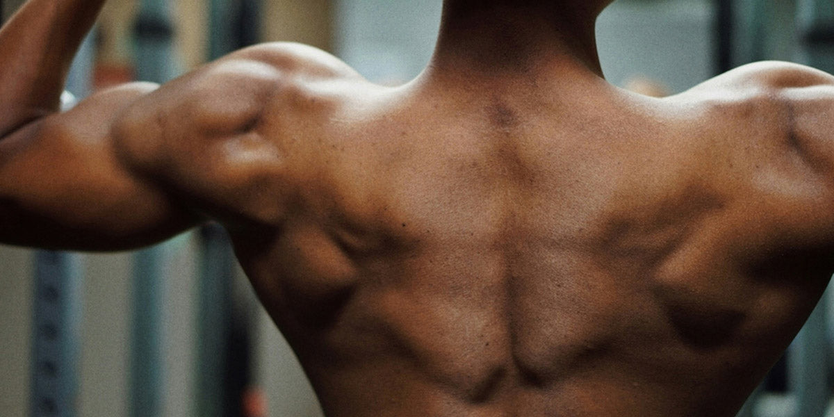 How Do You Measure Shoulder Width? A Simple Guide for Men’s Clothing ...