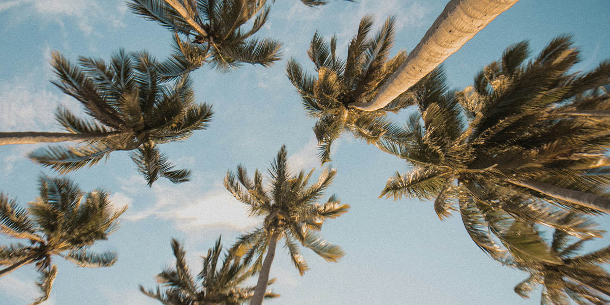 What Clothes to Wear in Hot Weather? A Men's Guide to Staying Cool